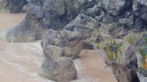 Генеральские пляжи. Крым. Все бухты генеральских пляжей на Volkswagen Transporter t4