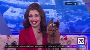 Хоббихорсинг в "Полезном утре"