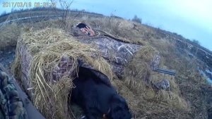 # 15 Охота на гуся в Беларуси. Вот это ОХОТА!!! Солигорщина. Часть 3