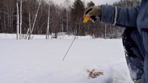 Зимняя блесна Маропедка 35 мм