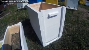 6 рамочный рогатый улей