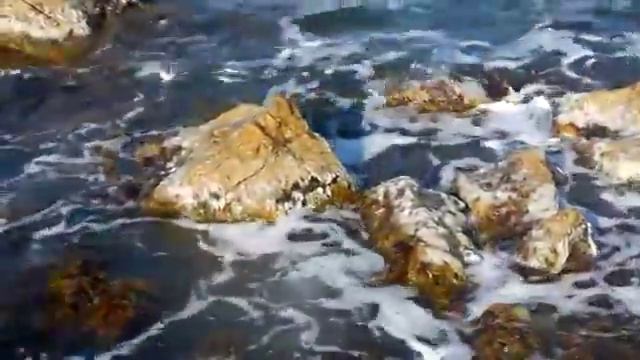 Крым, аренда жилья на летний период у моря