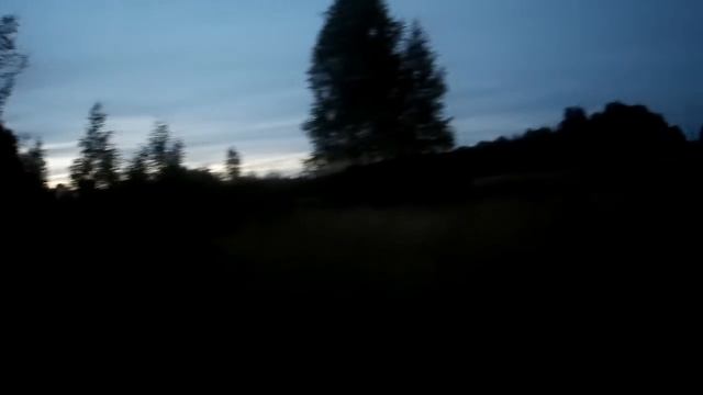 Охота на лося на реву 2020.Как манить БЫКА голосом КОРОВЫ!УРОК №1. смотреть онлайн