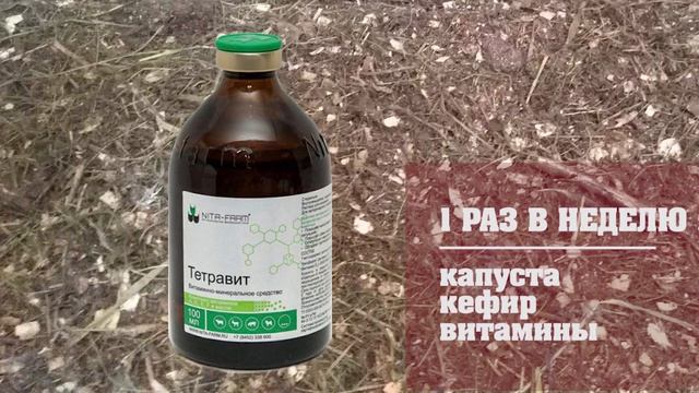 Секреты удачной зимовки кур. Личный опыт смотреть онлайн