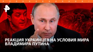 Украинцы поносят Зеленского после выступления Путина в МИД