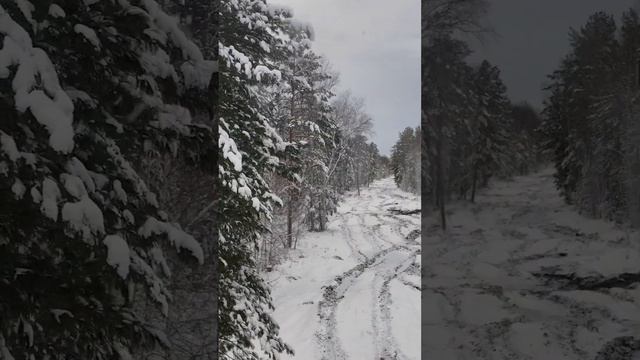 Жесткий тест-драйв Профи и Егеря / Аэролодки и Вездеходы Север