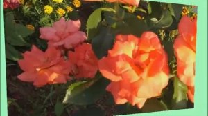 Просто поздравляю!