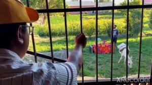 Sayfulloni izlab | 18 - Qism суд жараёни