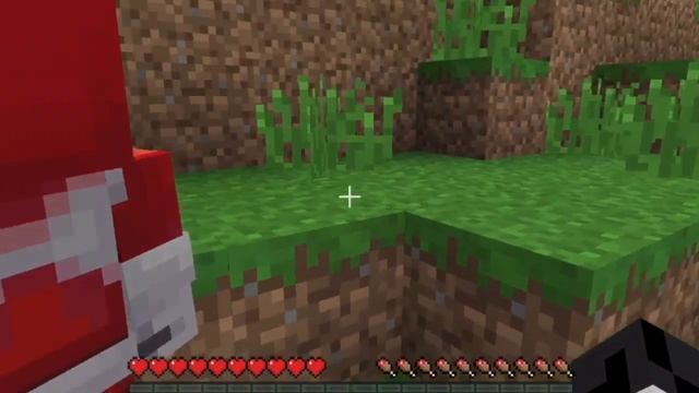 How To Play MULTIPLAYER Minecraft Same World on Nintendo Switch смотреть онлайн