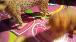 ядерный взрыв