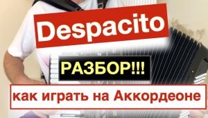 Despacito - Разбор как играть на аккордеоне с нуля  -  Бесплатный урок Аккордеона