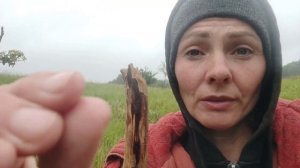 Козы похудели,молока мало.Когда лучше всего едят козы.Как сделать,что бы шёл пенсионный стаж