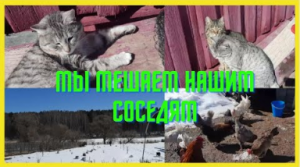 К нам опять из росреестра.Мы мешаем нашим соседям.