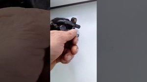 honda dio af56,проблема с водяным охлаждением.