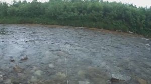 Рыбалка на хариуса по малой воде на кораблик