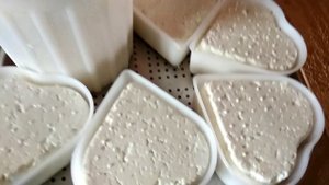 Варю сыр с голубой плесенью Мон Блю из козьего молока