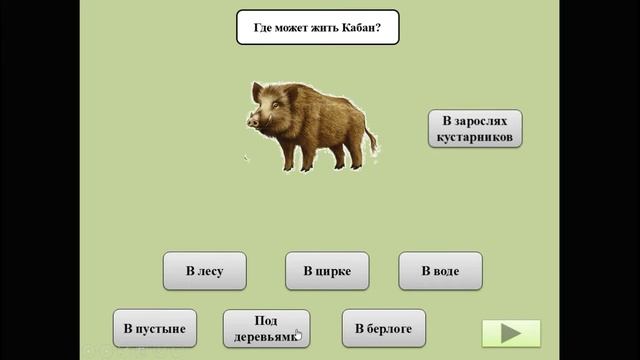 КОИ 2017 "Интерактивная логопедическая игра" смотреть онлайн