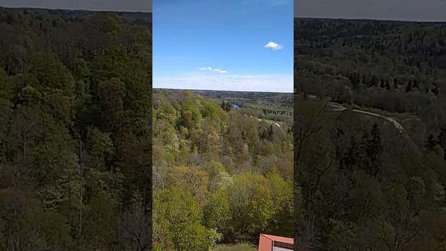 Турайдский замок, вид с башни. 06.05.2019