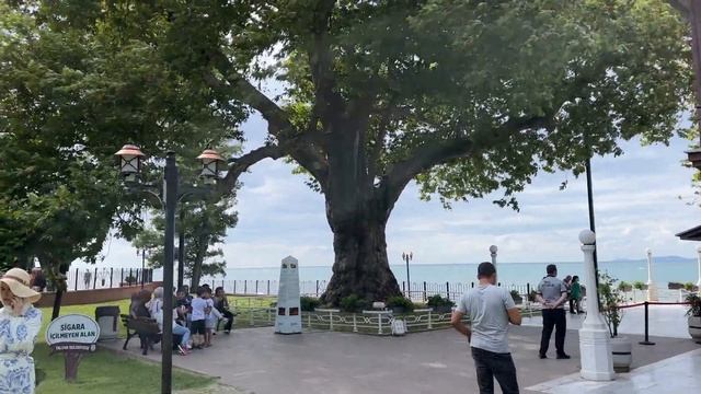 Yürüyen Köşk - Walking Pavilion, Yalova/Turkey смотреть онлайн
