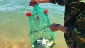 Рыбалка Шардара, серебряный пляж. Шардаринское водохранилище (Max KURASSOV) 2021