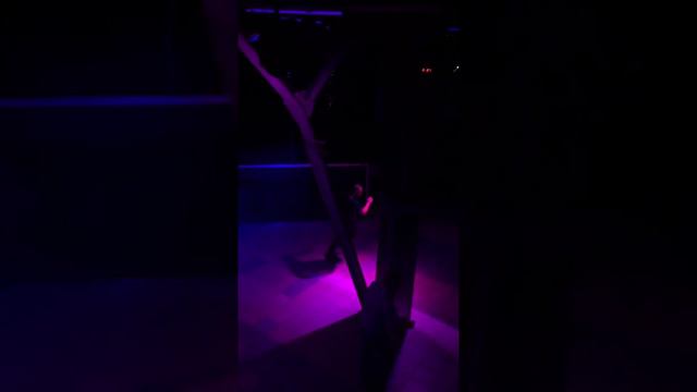 Галактика развлечений смотреть онлайн