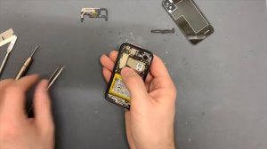 Palm PVG100 camera replacement