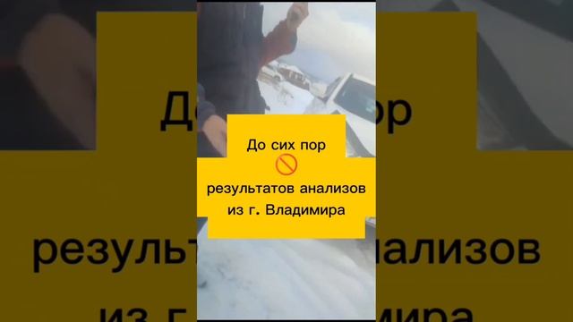 ? Хакасия. Приехали изымать домашнее поголовье скота ,но народ отстоял.И ликвидаторы уехали ни с че смотреть онлайн