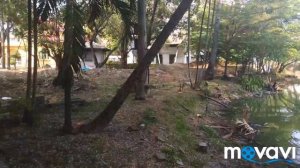 Серия 2 Бангкок: как он есть | нам пришлось согрешить.