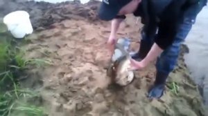 Рыбалка на реке Луга