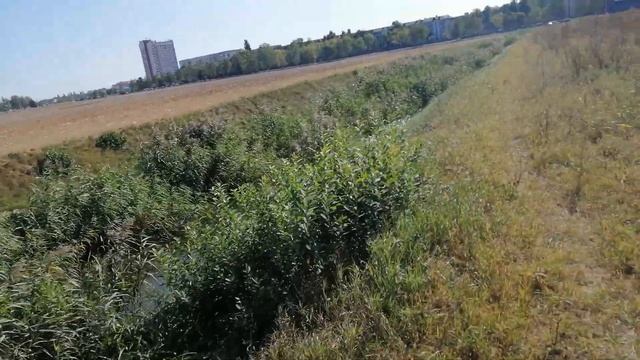 Рыбалке за тц. Катапульта.