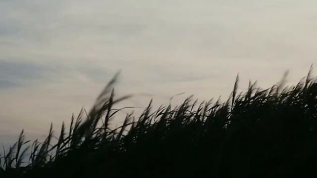 Грешная Любовь. Андрей Лорд. смотреть онлайн