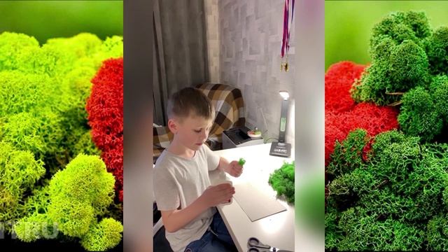 Прохоров Роман,  ГБОУ Школа Перспектива, Москва, Стабилизированный мох .mp4