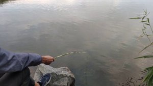 Рыбалка Зеленодольск