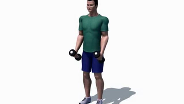 Правильное выполнение - Сгибание рук (гантели, стоя) смотреть онлайн