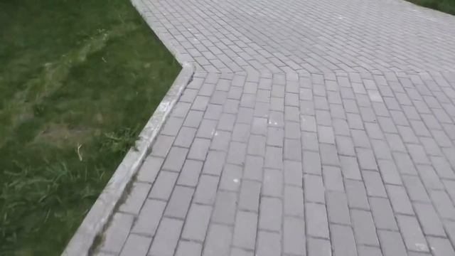 Желе, телефон, покрив. Какво може да се обърка? Всичко! | Луди експерименти смотреть онлайн