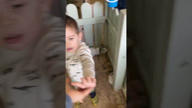 Максим в контактном зоопарке