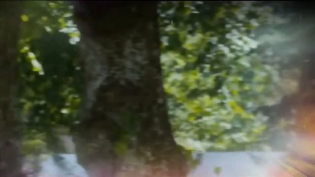 Осенний сон исп Олег Погудин смотреть онлайн