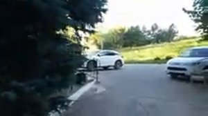 РЕКА ДНЕСТР В ПРИДНЕСТРОВЬЕ ! ПРОГУЛКА У ТЕРЕМКА И ОЗЕРА !