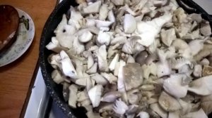 Вешенки жареные с луком в сметане .