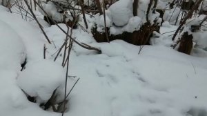 Рюкзак NorthLand CAMINO 60 и другие чудеса магии льда и пламени.