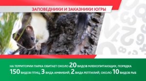 Инфографика «Заповедники Югры»