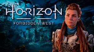 НЕМНОГО ПО СЮЖЕТУ | Horizon 2: Forbidden West | 33