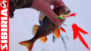 ЧУДО-добавка к БАЛАНСИРУ.  Секретное  "оружие"  ловли на балансир. Тройники-подвески  ручной работы