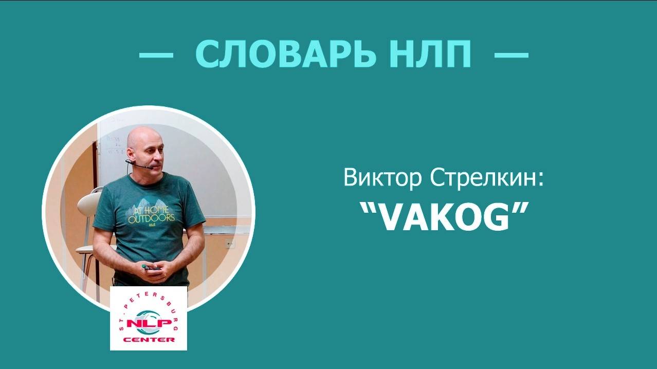 Словарь НЛП. Что такое VAKOG? Виктор Стрелкин (2017 г.)