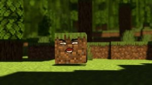 do I look like a Minecraft dirt block?