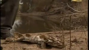 Астраханская область Рыбалка на Ерике Казачий База Авалон2