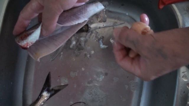 20180605 г.Волжский , маринуем каспийскую селедку.