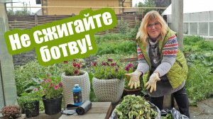 НЕ ВЫБРАСЫВАЙТЕ БОТВУ! 7 способов как использовать ботву на участке