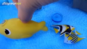 PinkFong Fishing and play Bathing toy! Let's take a clean bath with Baby Shark family! #PinkyPopTOY