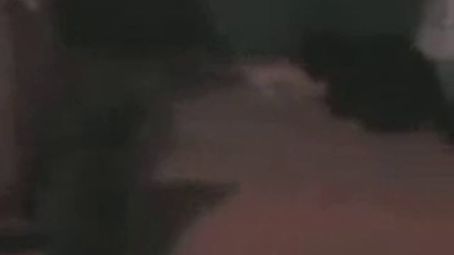 Кот кружится а другой наблюдает! смотреть онлайн